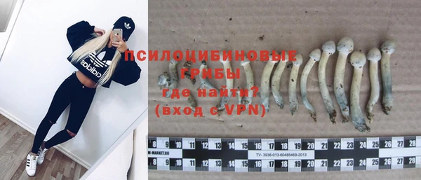 apvp Нефтегорск