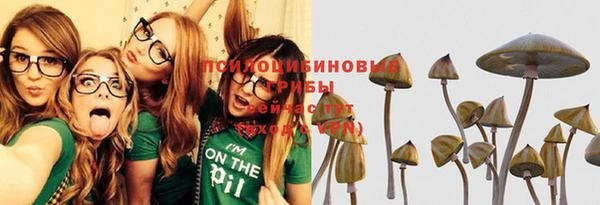 кокс Нея