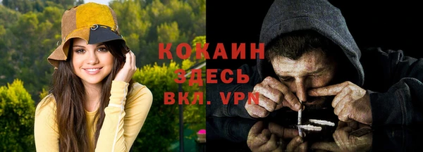 гашик Нефтекумск