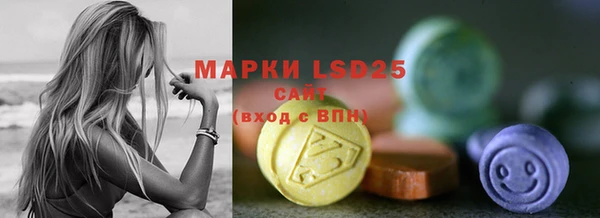 гашик Нефтекумск