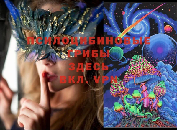 кокс Нея