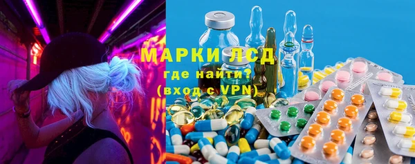 гашик Нефтекумск