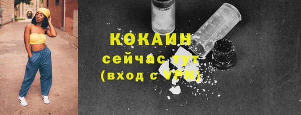 гашик Нефтекумск